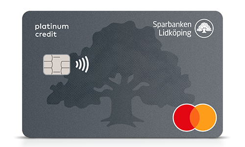 Betal och kreditkort Mastercard Platinum